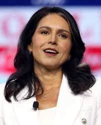 tulsi gabbard husband net worth